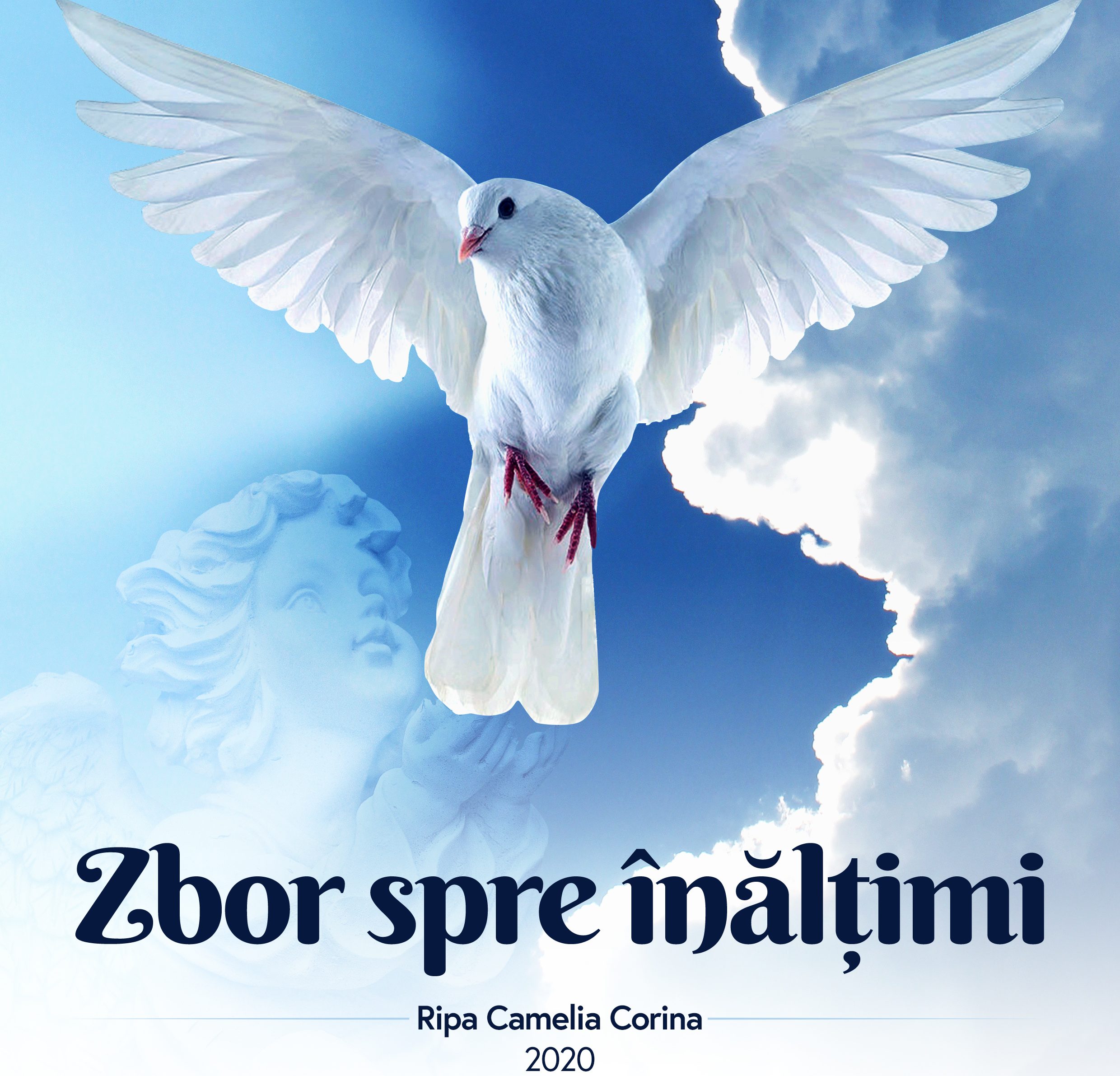 Zbor spre înălțimi